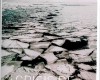 Exodo 161